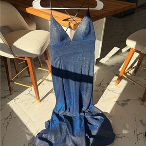 David’s Bridal Navy Blue Iridescent Gown
